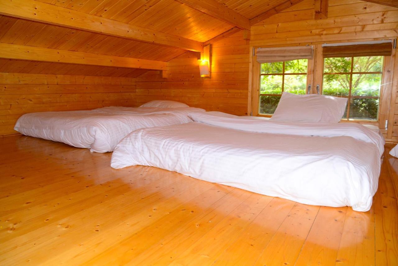 Severine Cottages And Lounge Ltd Nairobi Luaran gambar